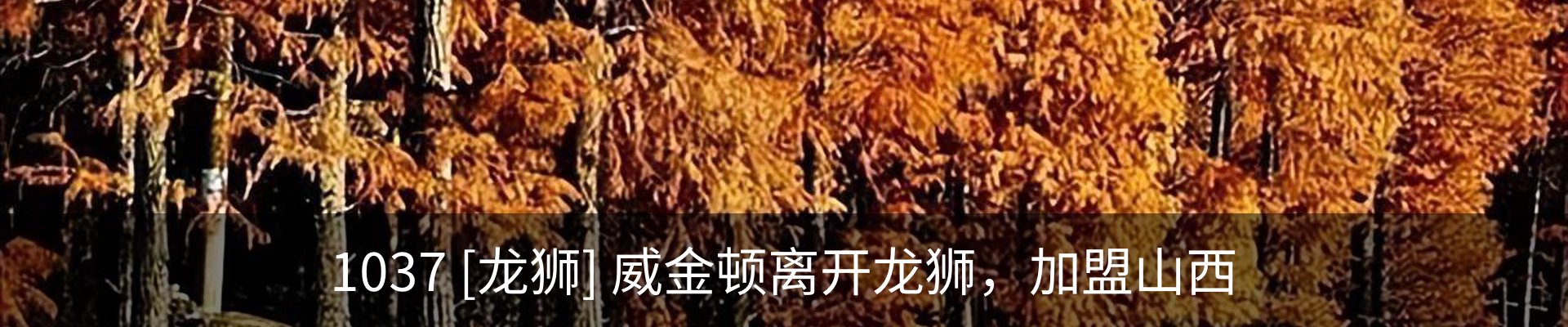 新闻动态